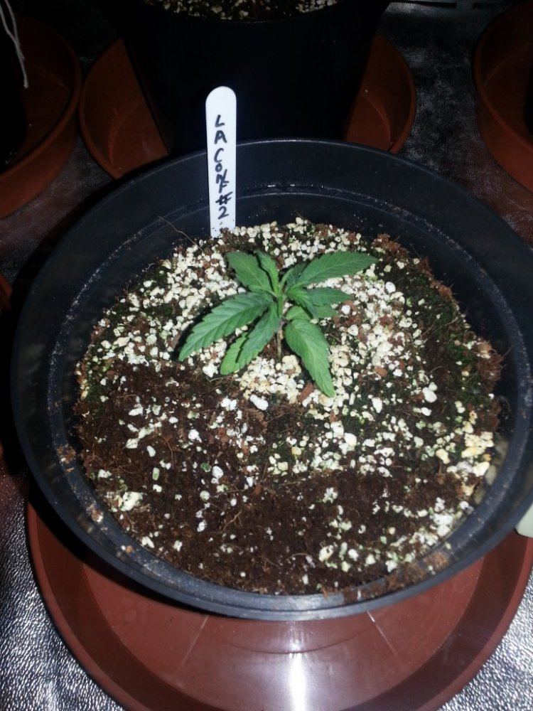20131018 134143