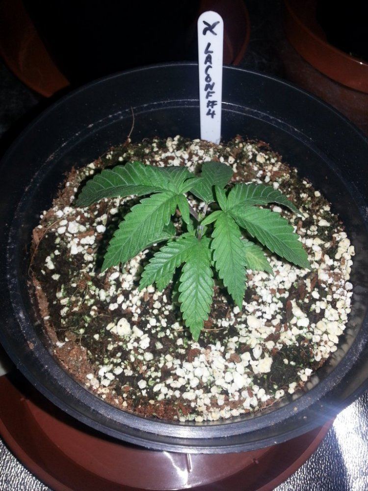 20131018 134155