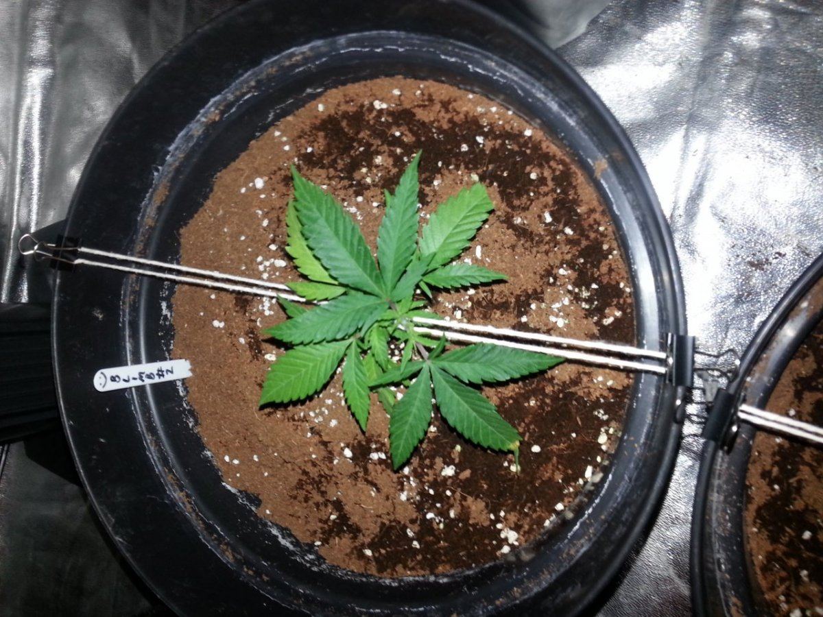 20131020 140715