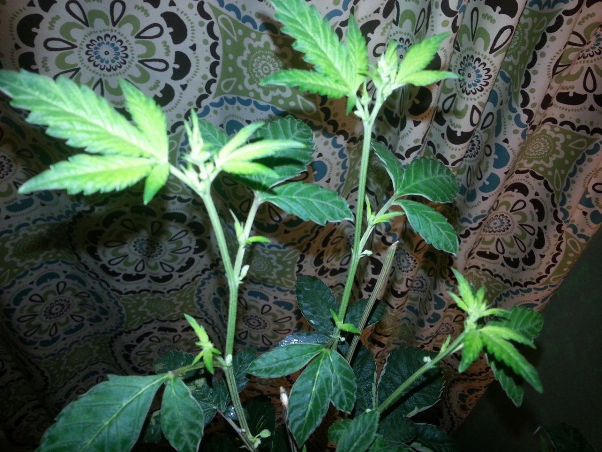 20131021 001937