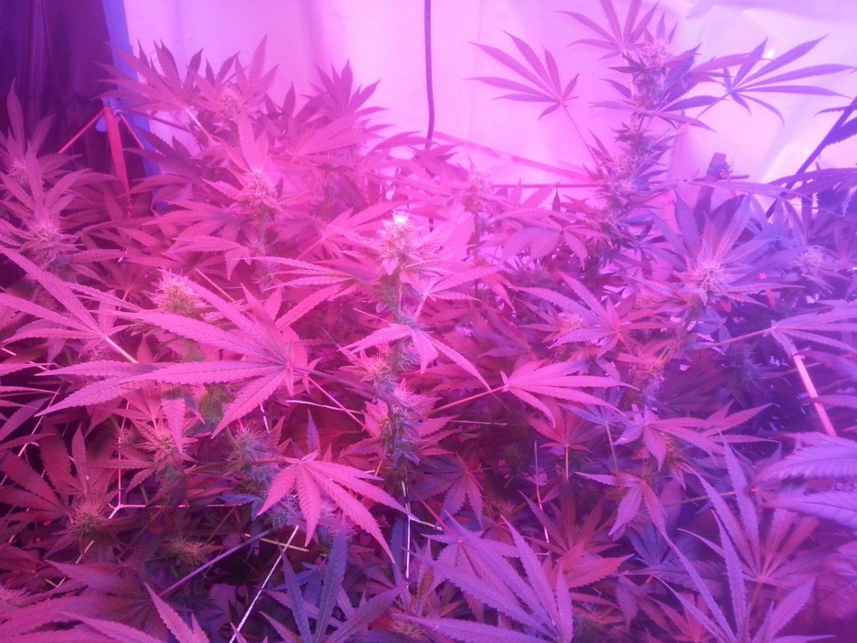 20131031 065306