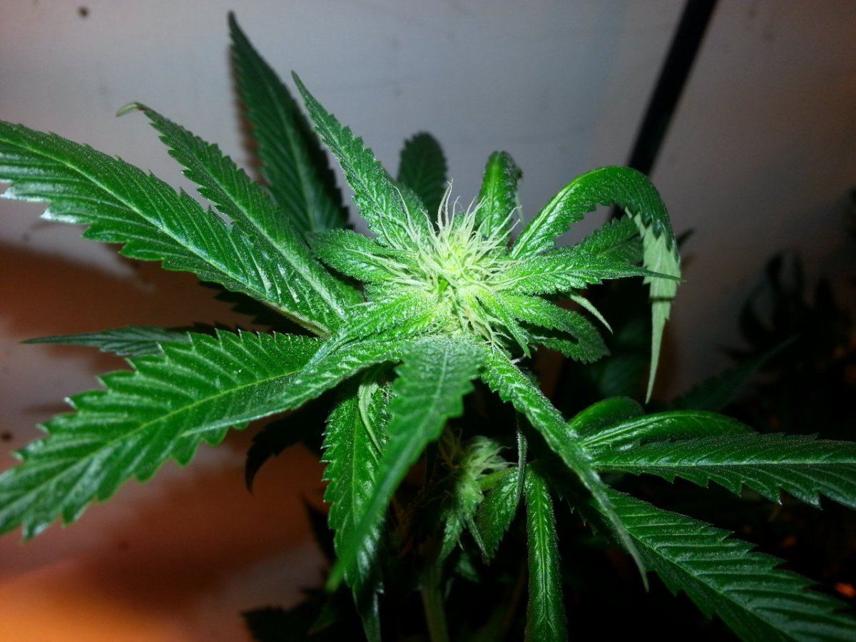 20131104 113637