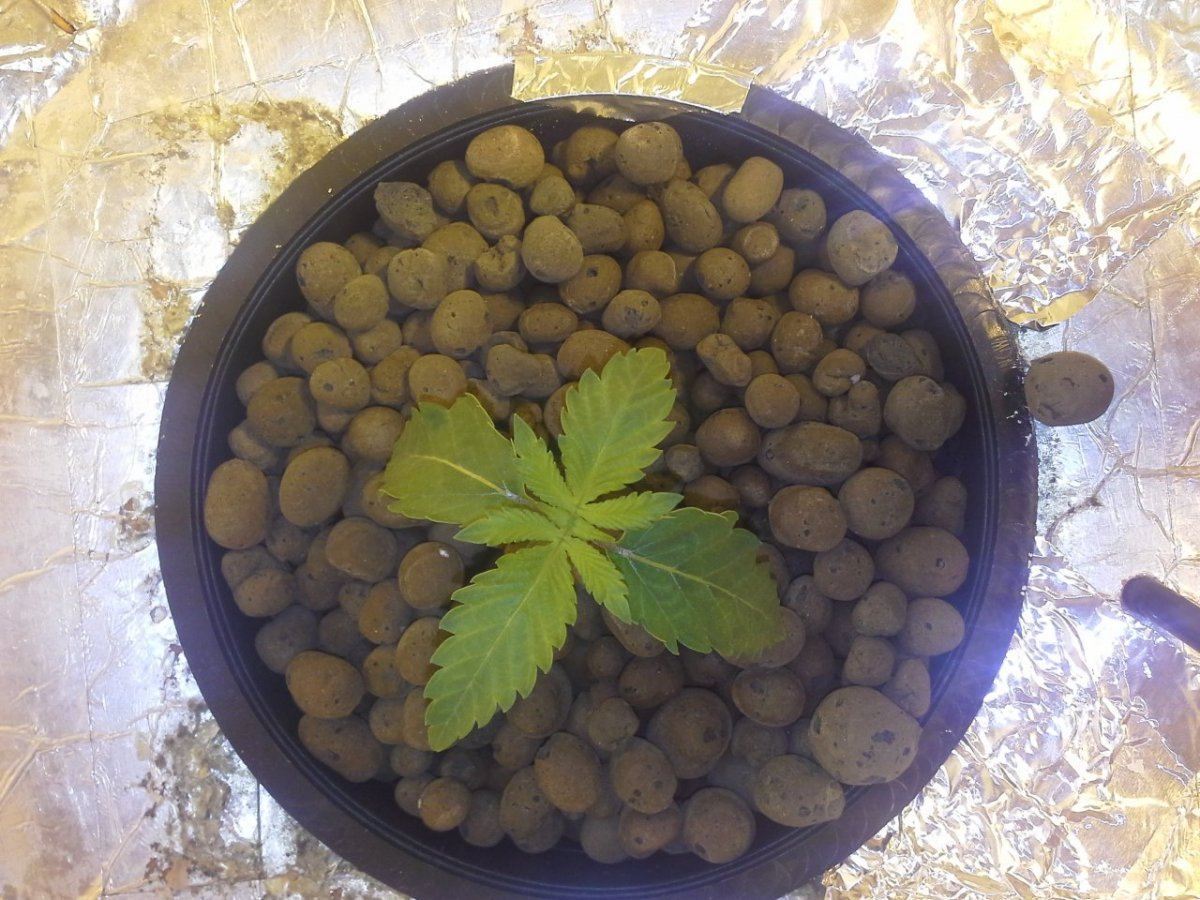 20131105 053124