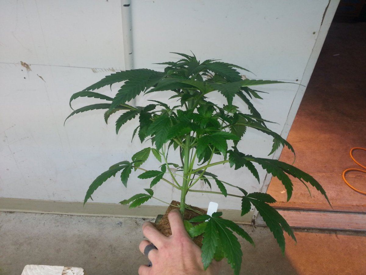 20131105 130558