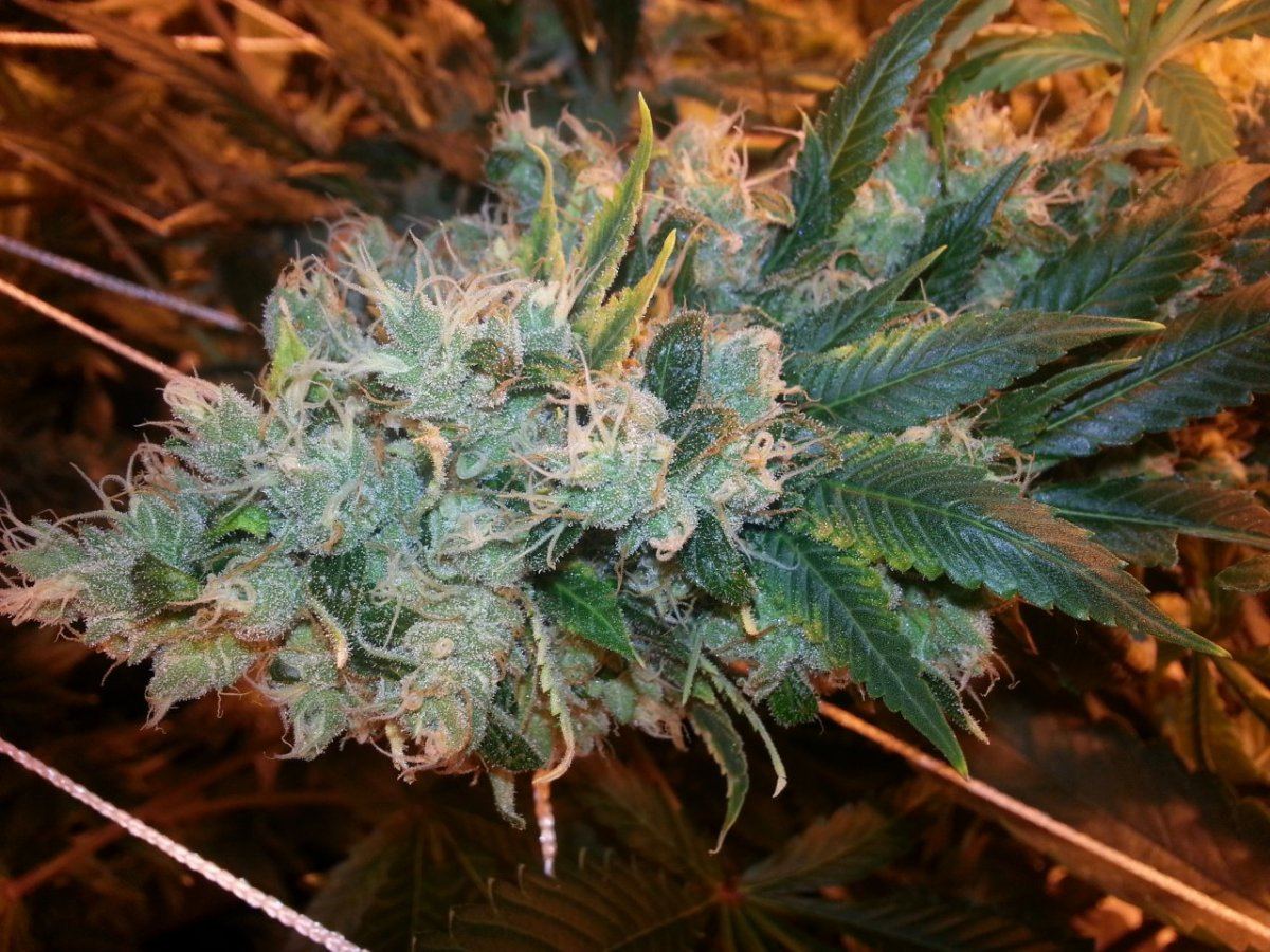 20131105 151912
