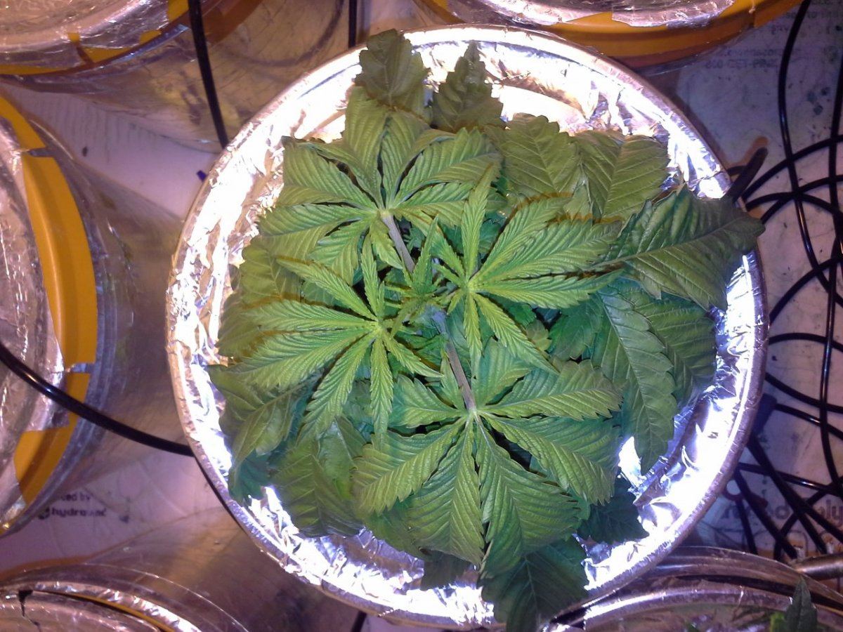 20131112 054701