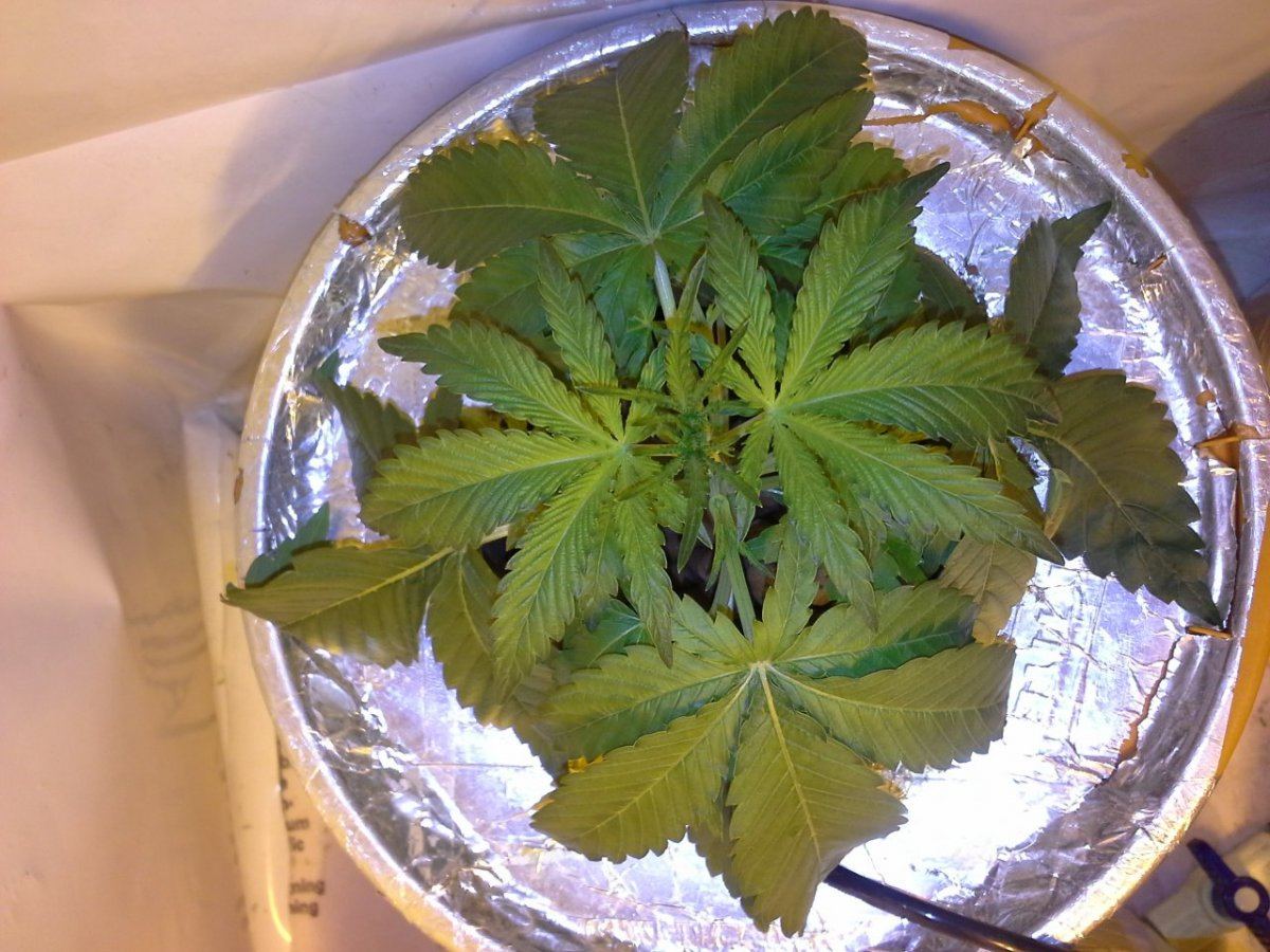 20131112 054730