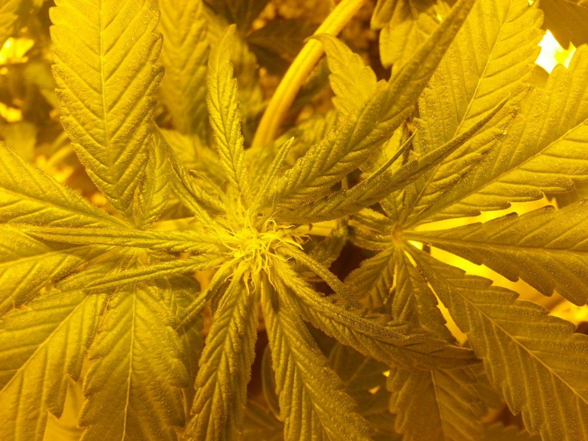 20131120 201644