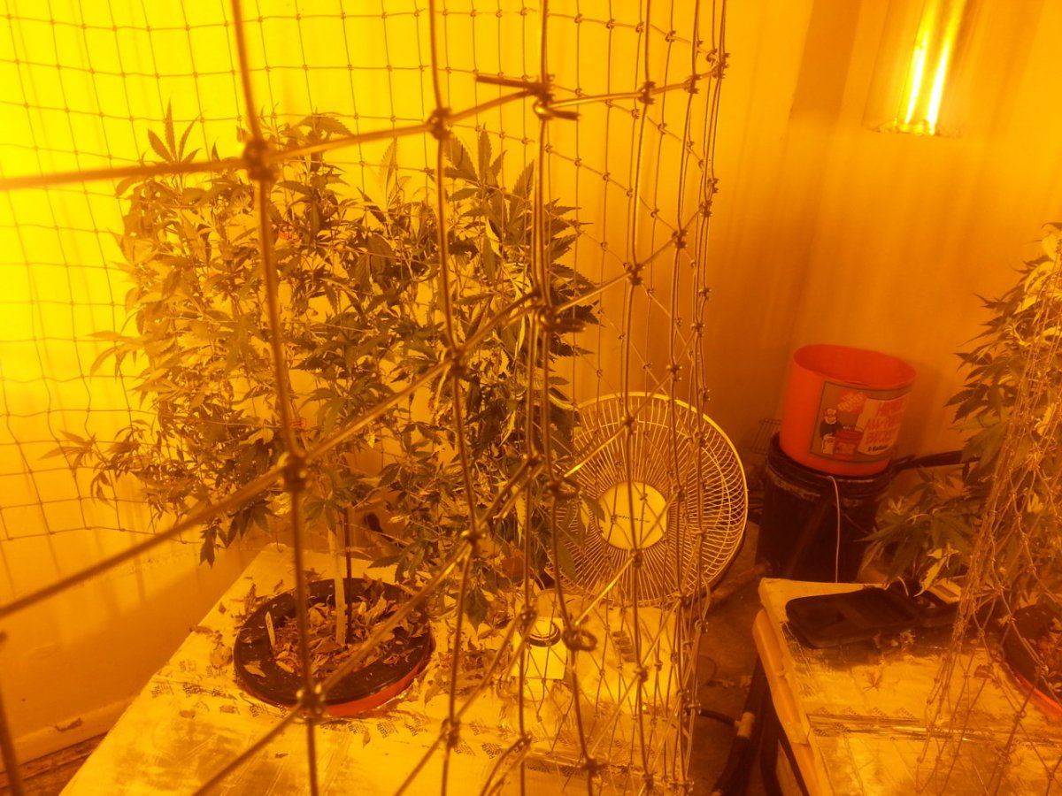 20131121 030505