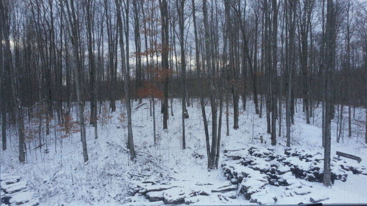 20131124 165050