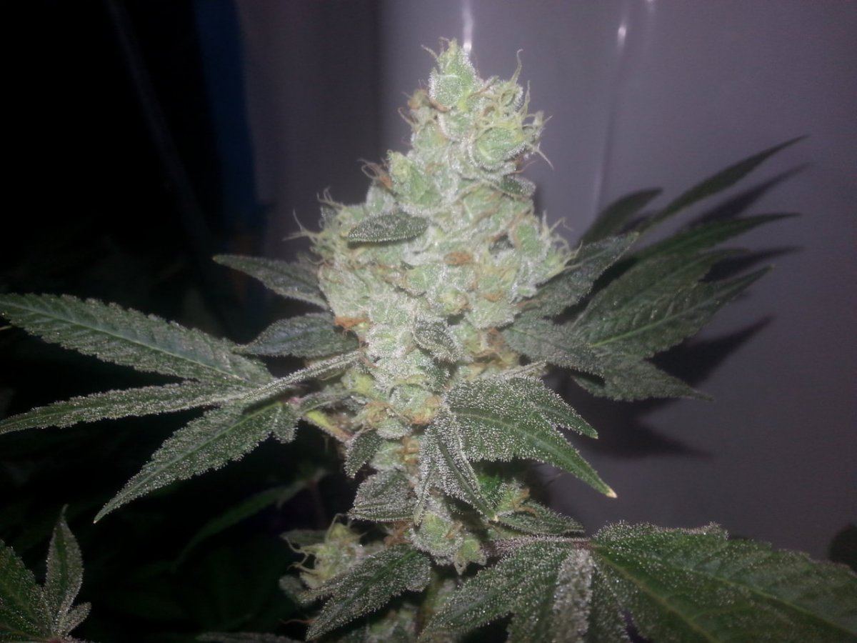 20131126 181507