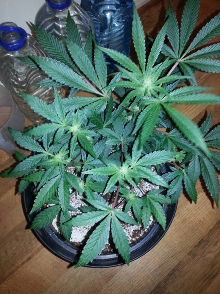 20131126 202928