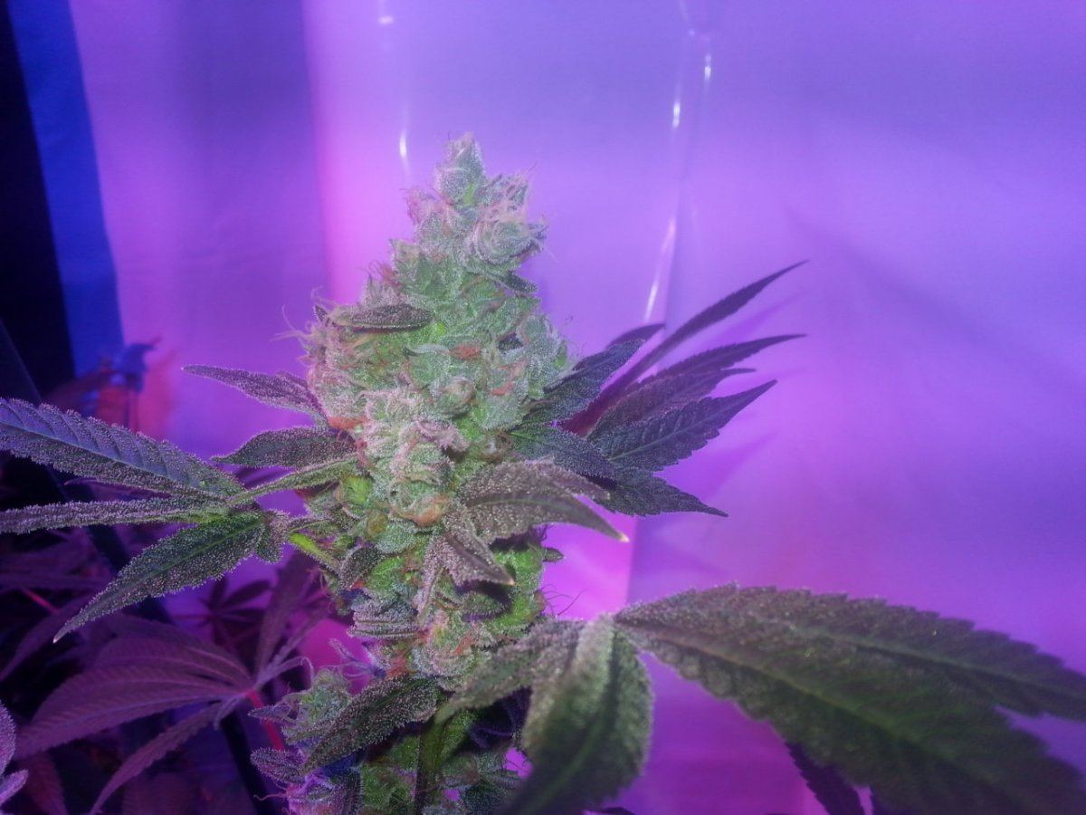 20131128 072120