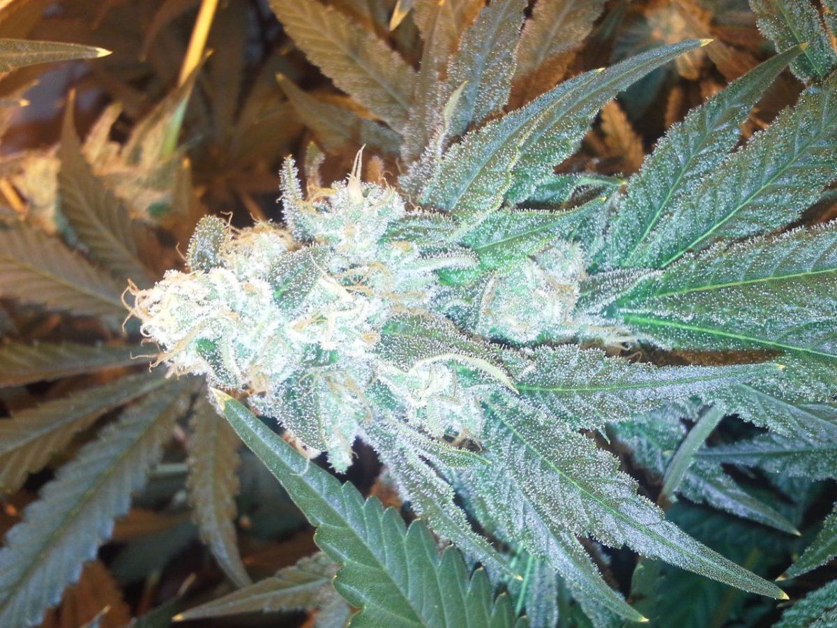 20131129 055852
