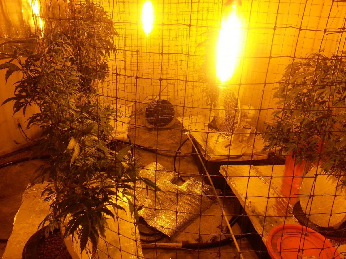 20131129 174805