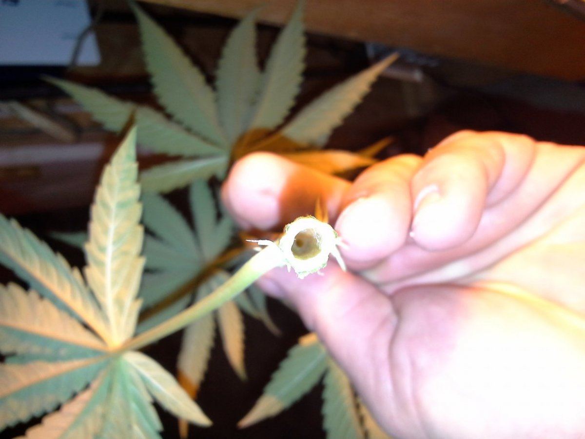 20131204 174445