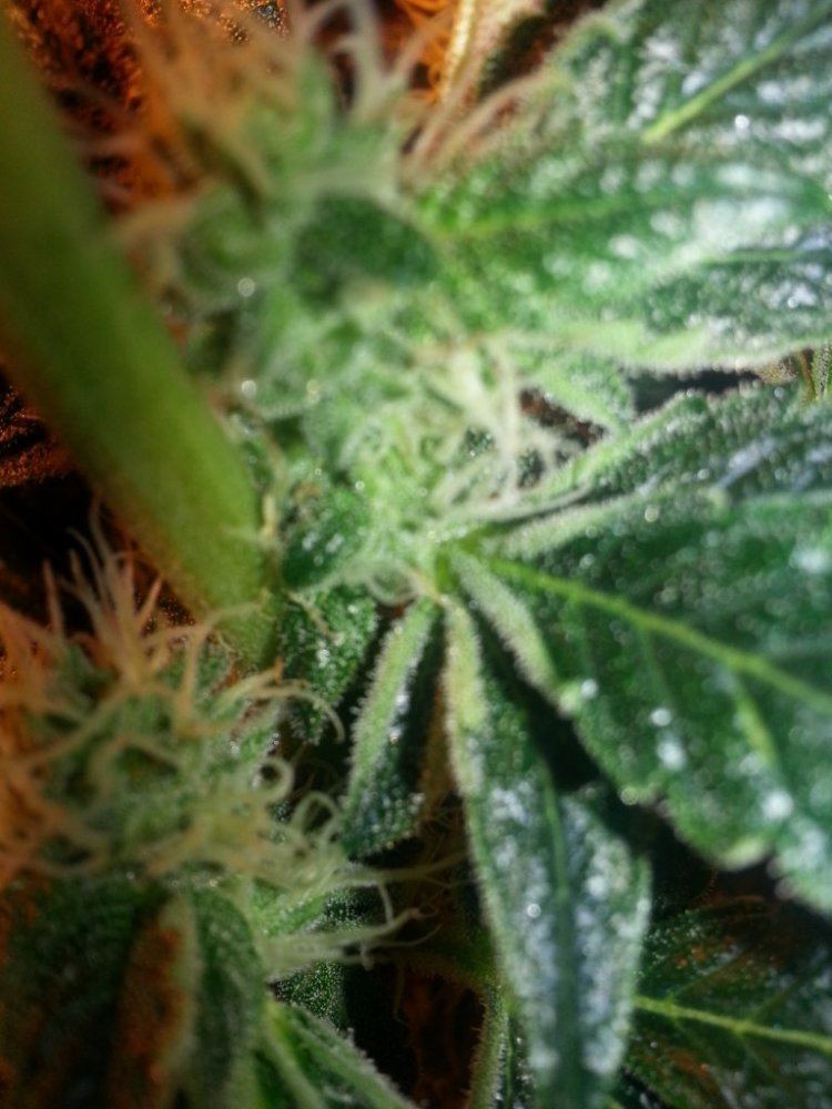 20131204 221858
