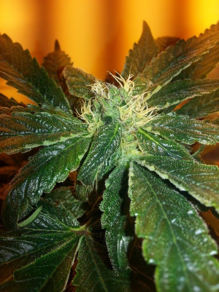 20131204 222033