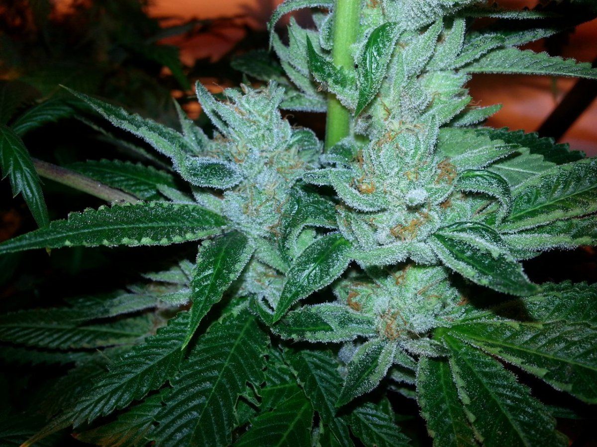 20131208 084610