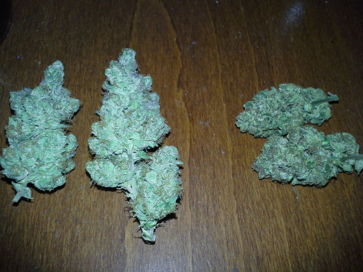 20131208 093913
