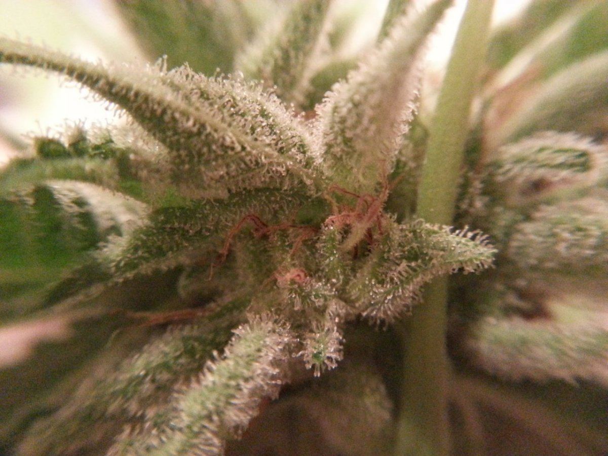 20131213 005605