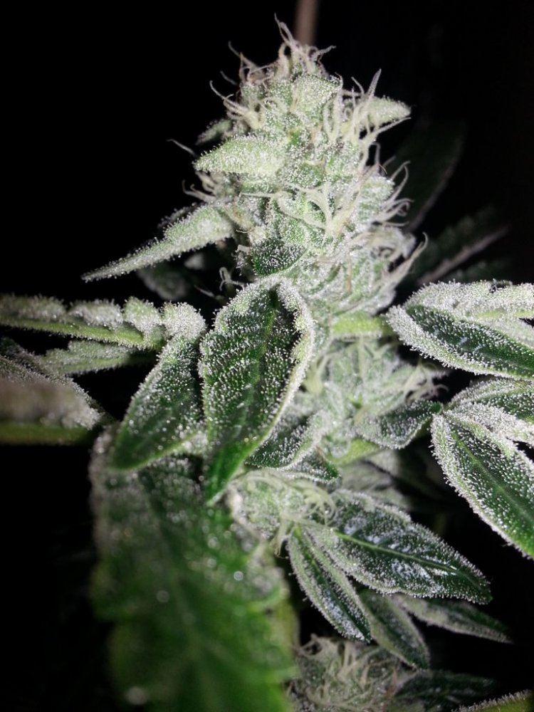 20131215 203336