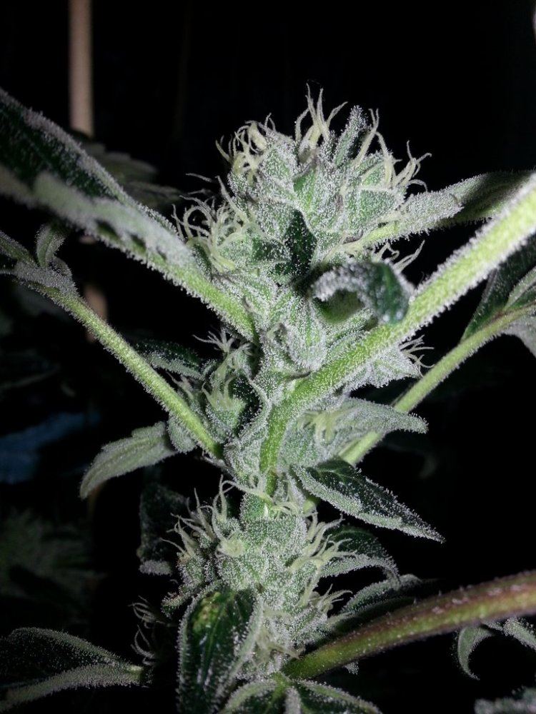20131215 203648
