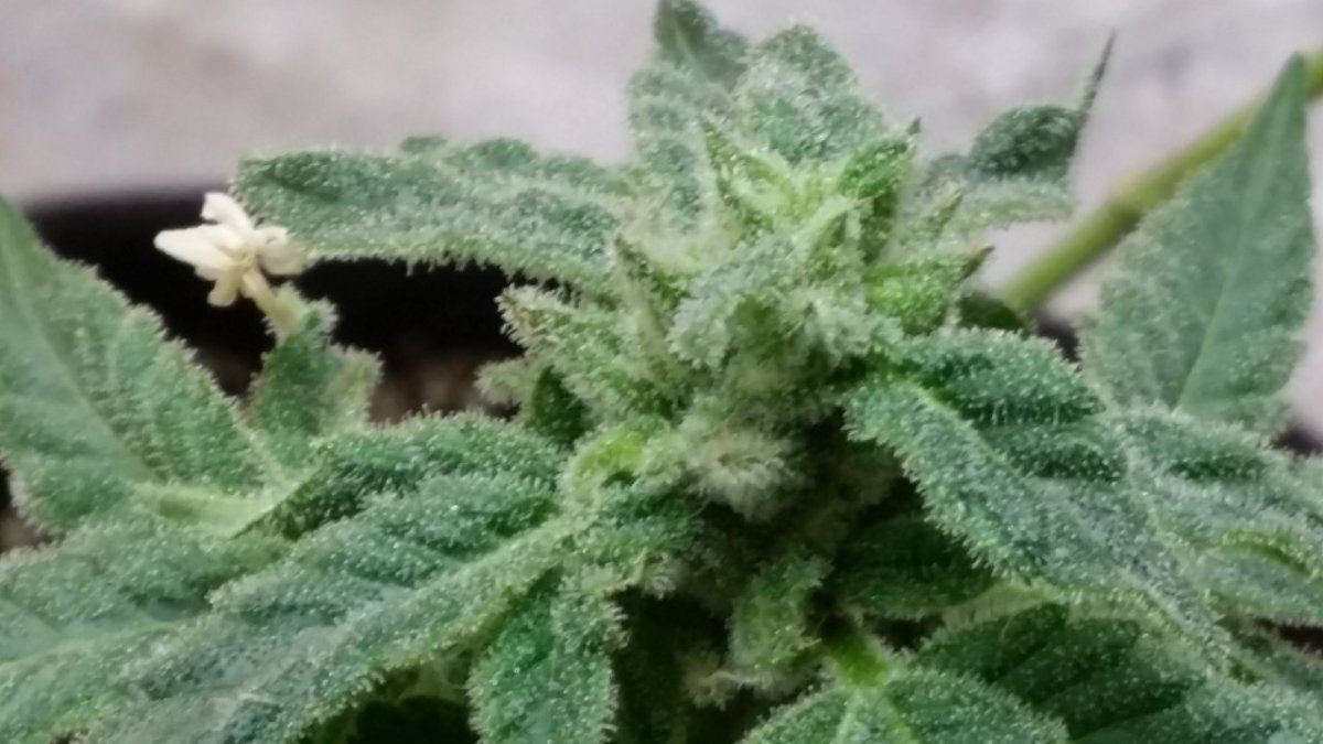 20131221 135649