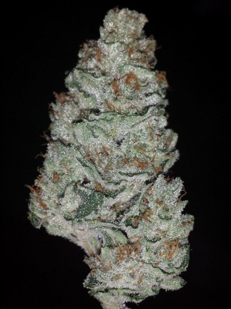 20131224 010301