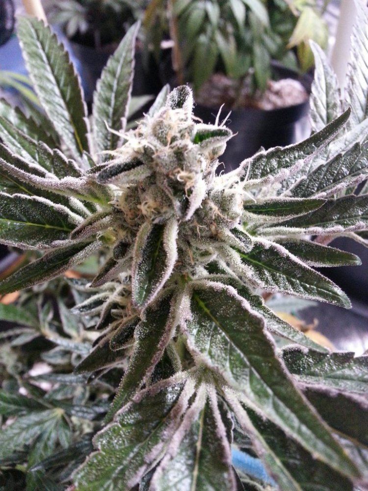 20131227 210233