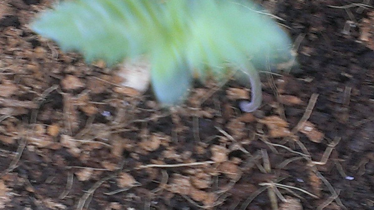 2014 05 15 171921