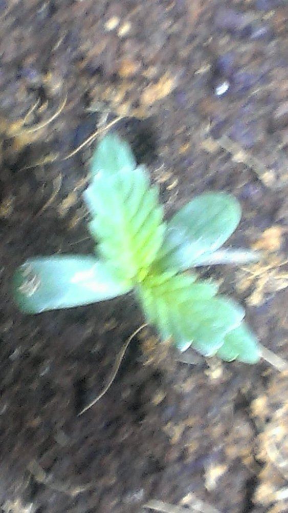 2014 05 16 134605