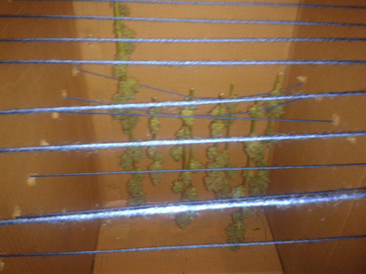 2014 10 02 201011