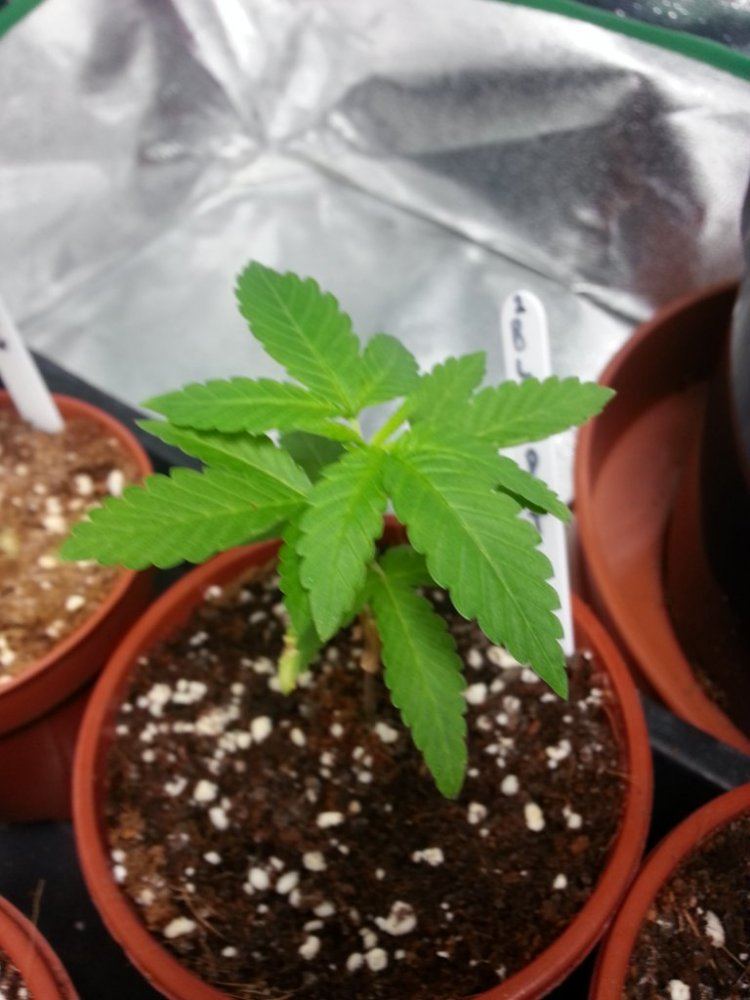 20140102 203759