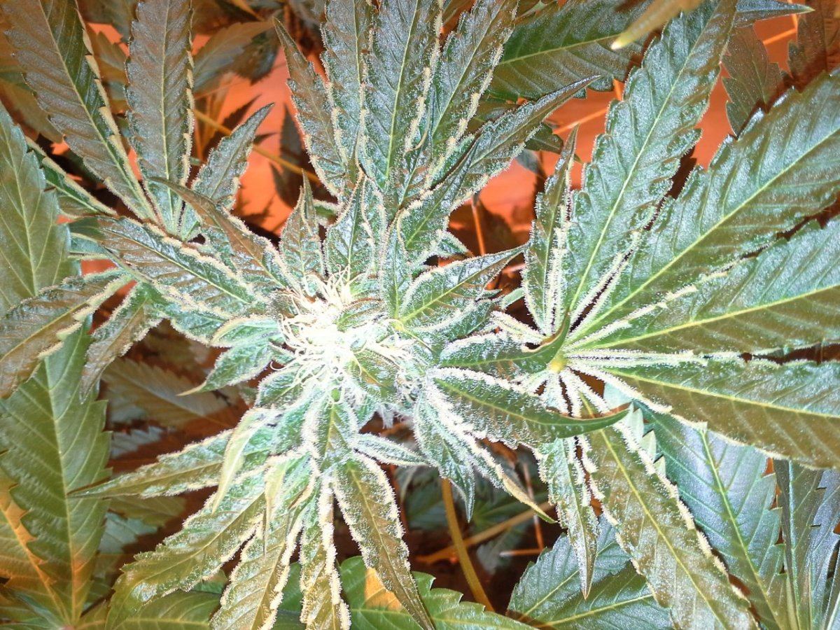 20140105 191118