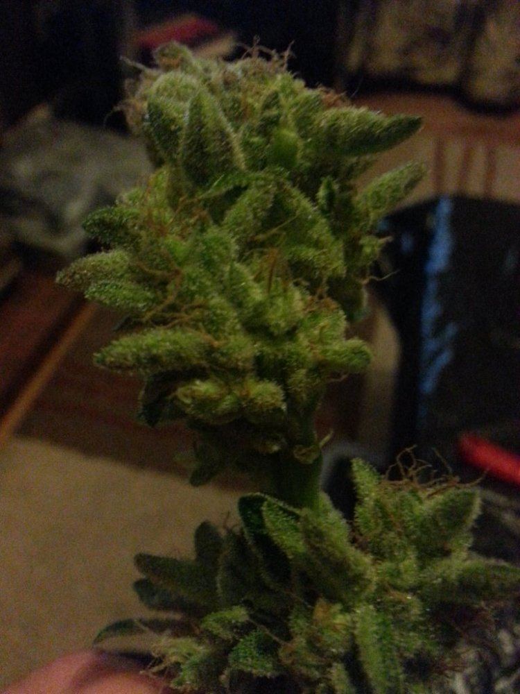 20140105 210505