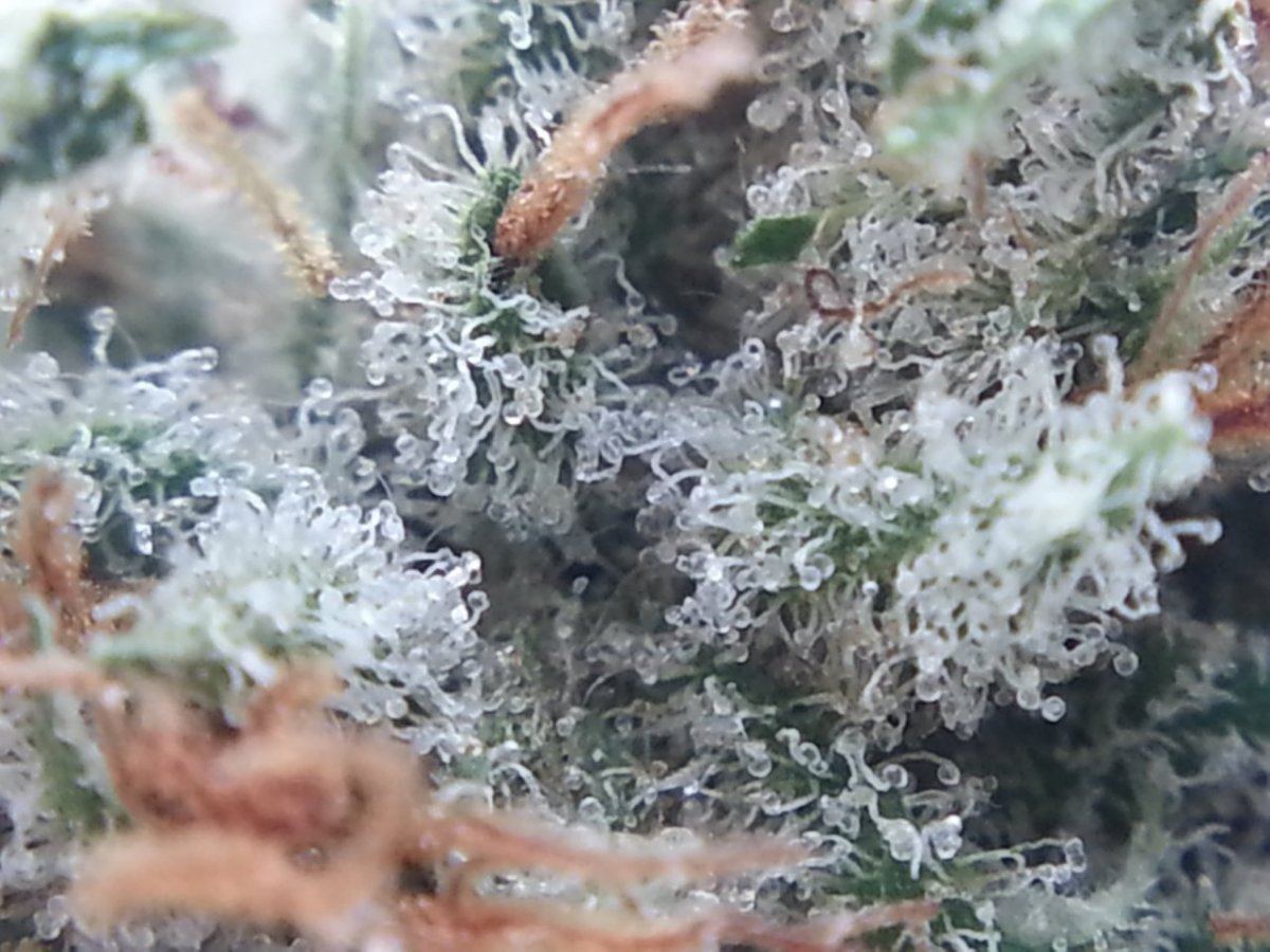 20140107 224127