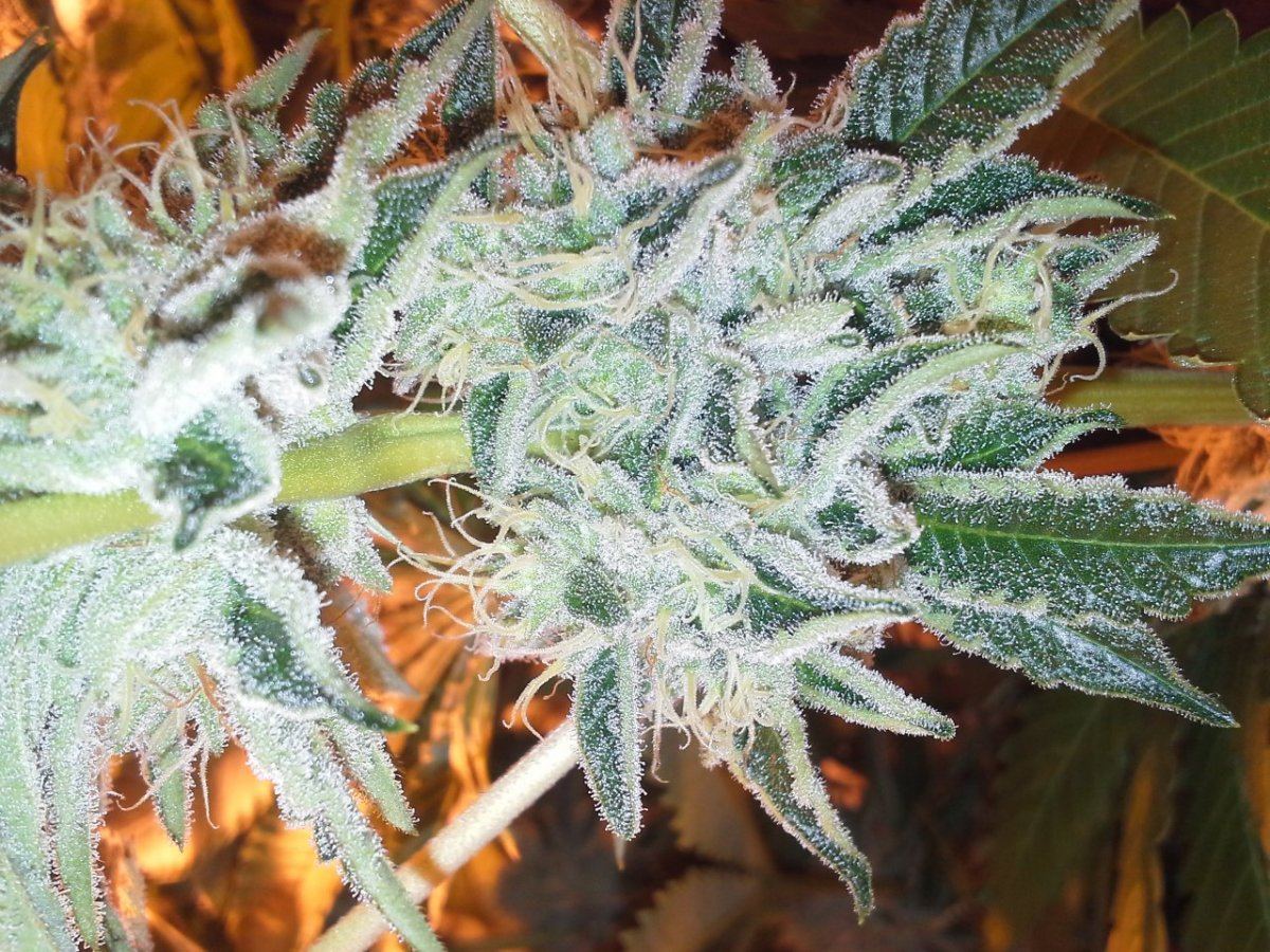 20140108 180845