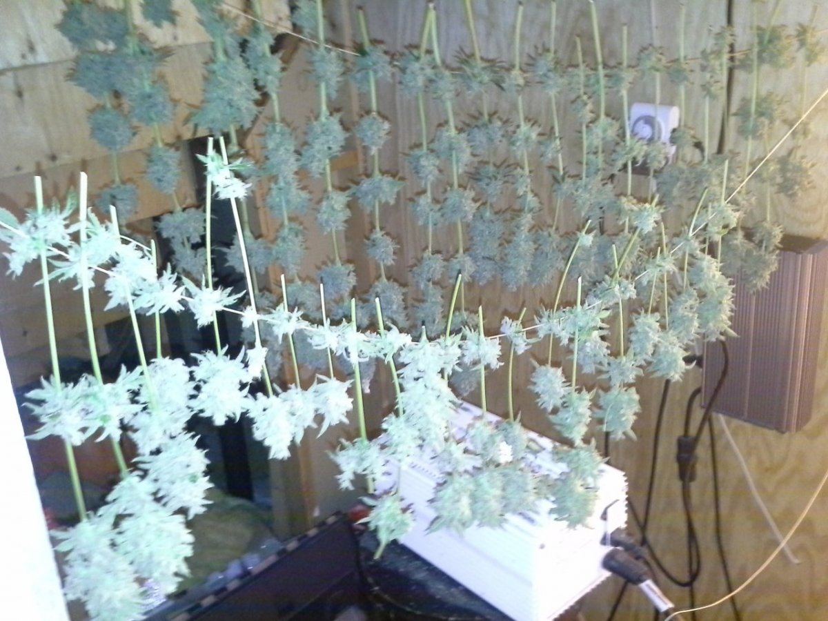 20140209 134148