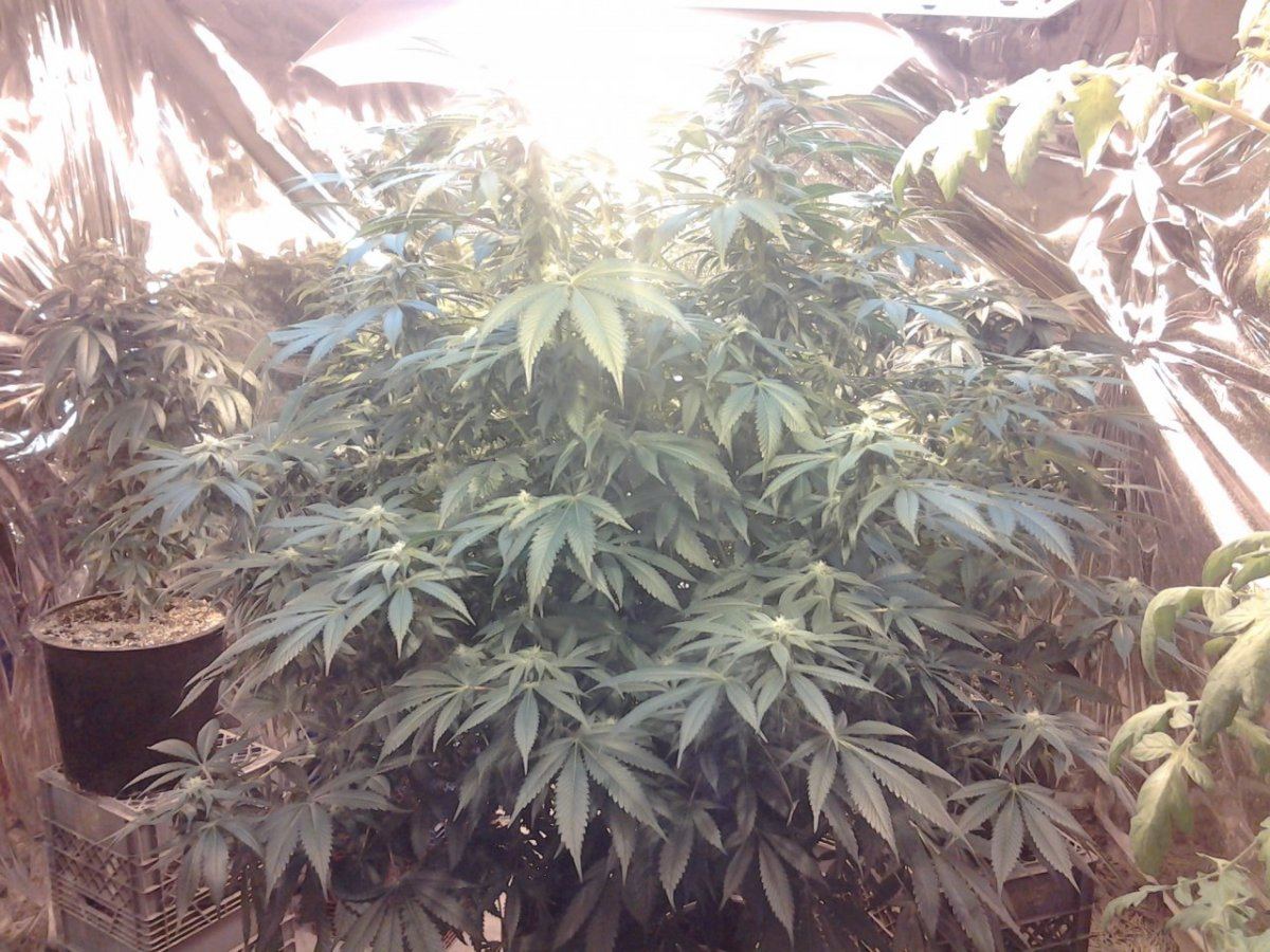 20140303 124317