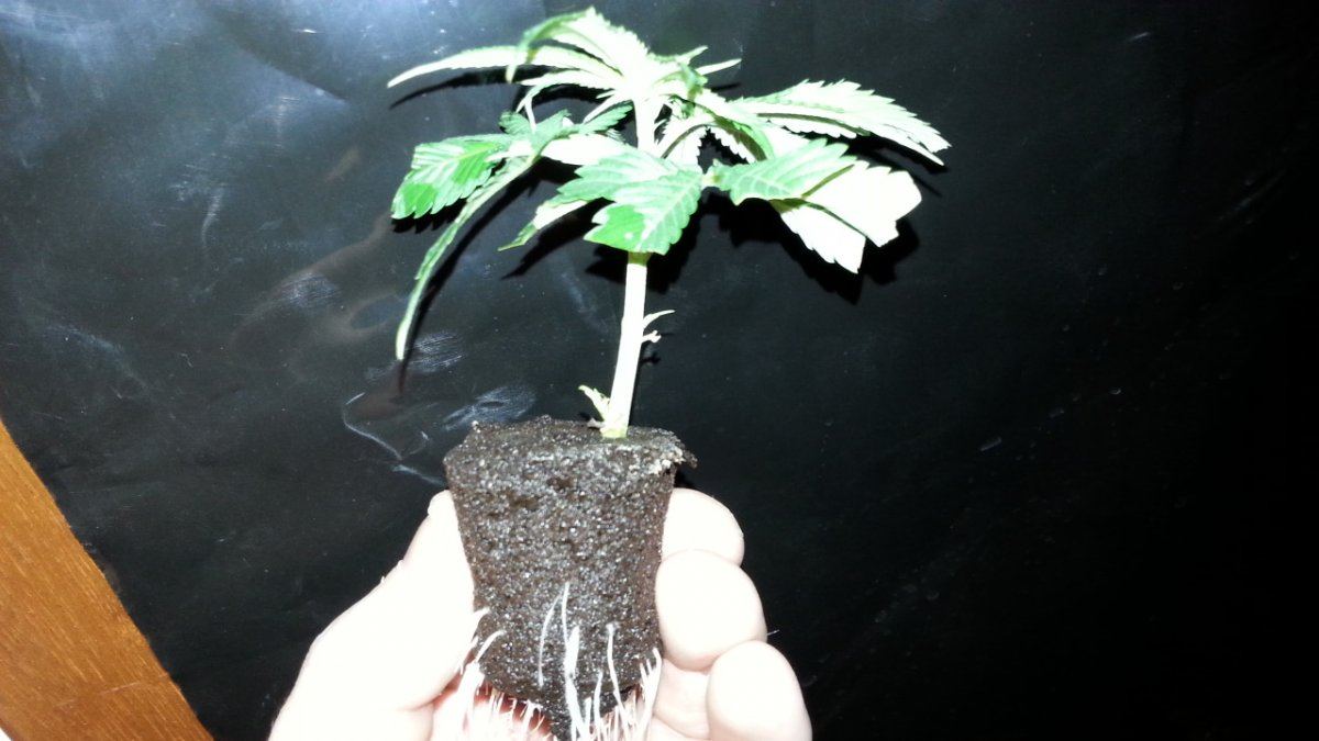 20140309 132008
