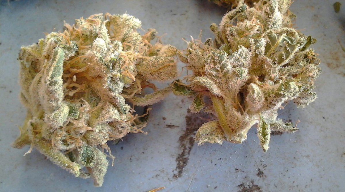 20140401 143336 1