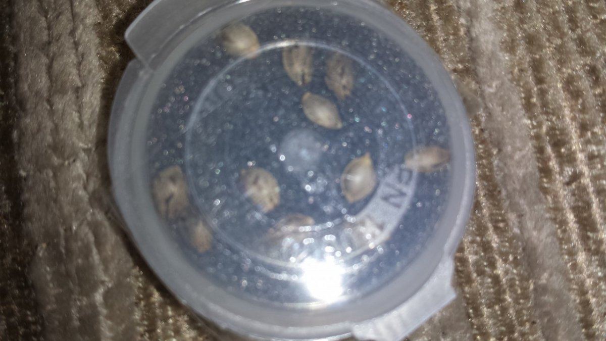20140414 095523