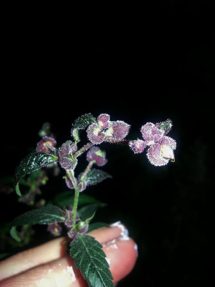20140421 194236