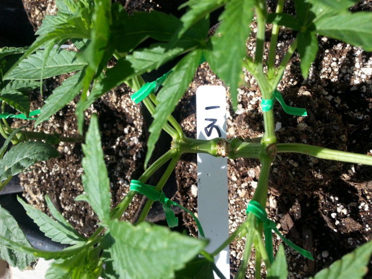 20140505 112613