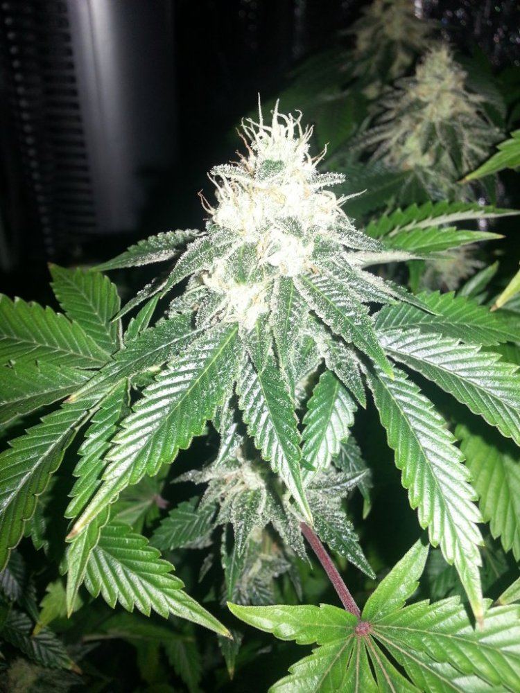 20140528 085835