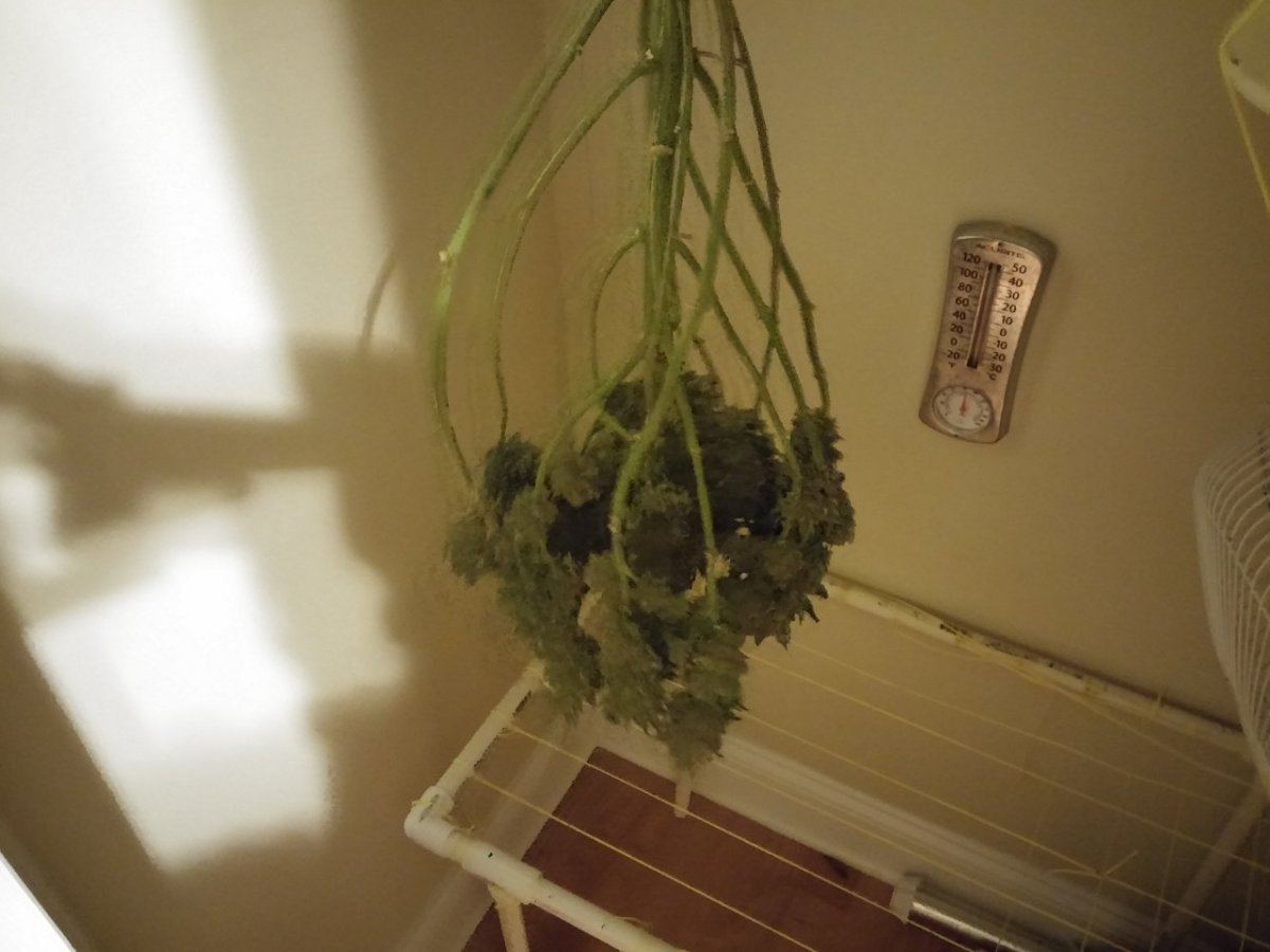 20140706 225245