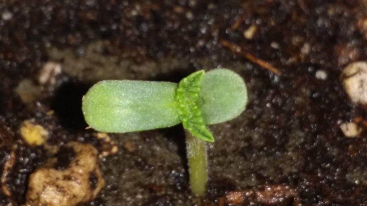 20140716 144737