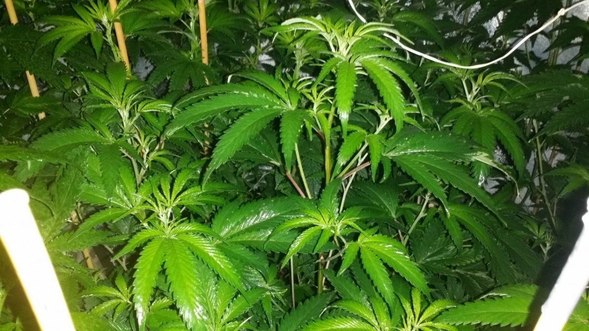 20140801 165248