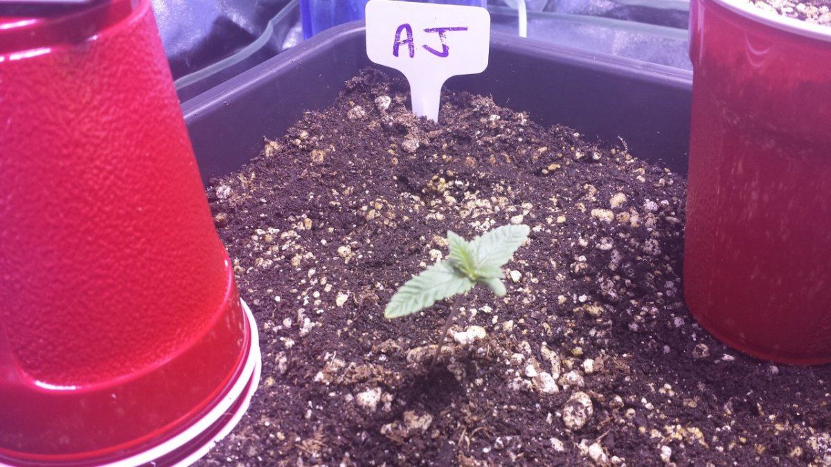 20140801 205753